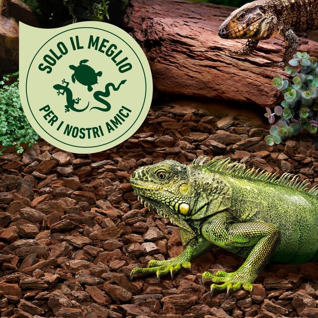 Detalle de COMPO ZOO Lettiera universale per terrari in corteccia di pino, pezzatura 10-18 mm