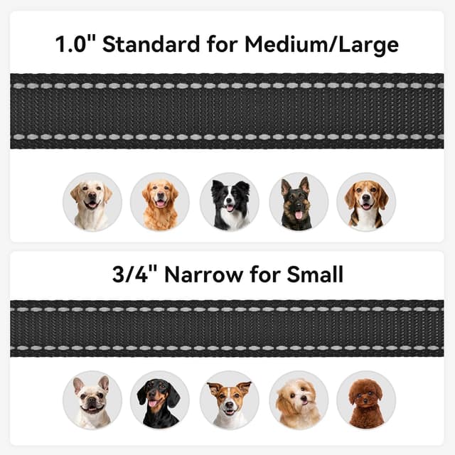 Detalle 2 de Joytale Strong Double-Sided Reflective Dog Lead with Padded Handle (Black) – 1.5m x 2cm