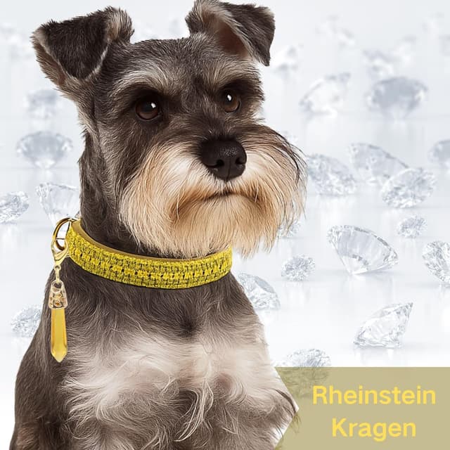 Detalle de PEARLY JUN Wasserdiamant Welpenhalsband (XXS) – gelb, mit Glanzsteinen, für Hund & Katze