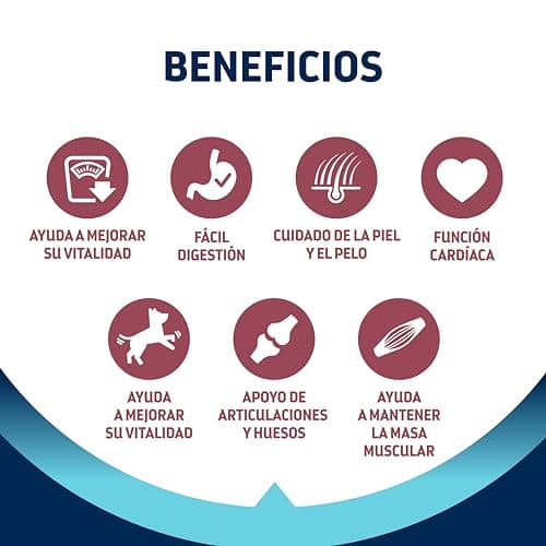 Detalle de Advance Medium Senior 12 kg pienso senior