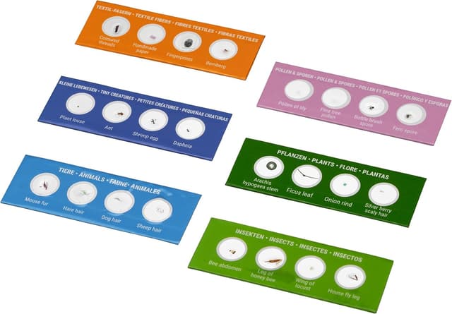 Detalle 2 de Bresser Junior Mikroskop Set 24 Präparate