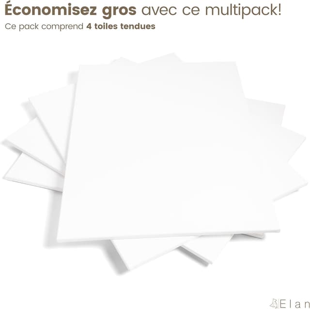 Detalle de Elan Toile à peindre 20x30 🎨