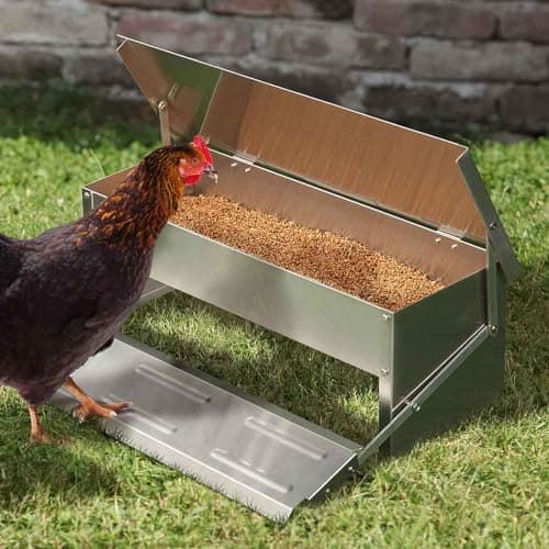 Thumbnail 4 de TERRE JARDIN - Comedero para Gallinas, 5 kg, XL - Comedero para Gallinas Anti Plagas, Acero Galvanizado - Automático, Anti Desperdicio