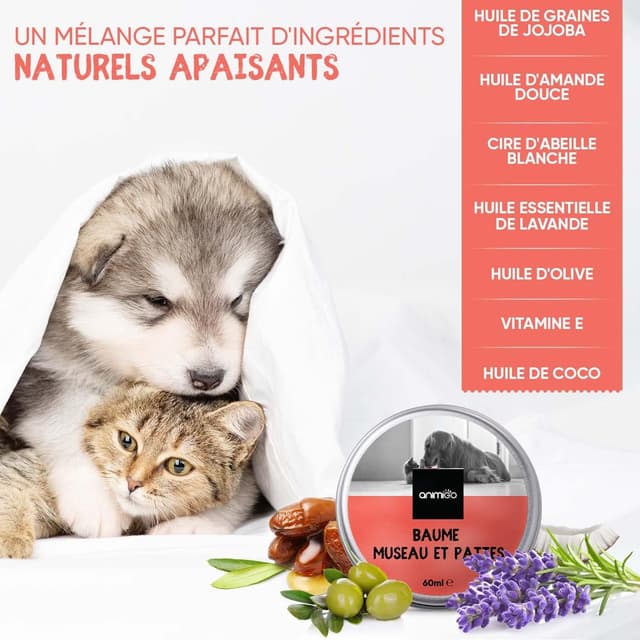 Thumbnail 3 de Baume coussinet 60ml Protection pattes 🐾