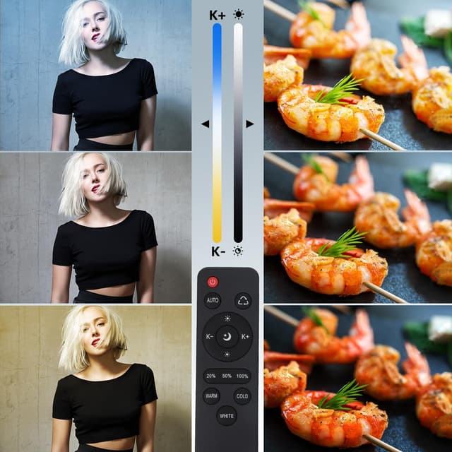 Detalle de Skytex Softbox Lighting Kit 20x28in 2-Pack