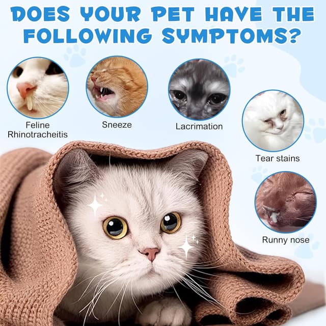 Thumbnail 4 de Lysin Katze L-Lysin Tropfen für Katzen