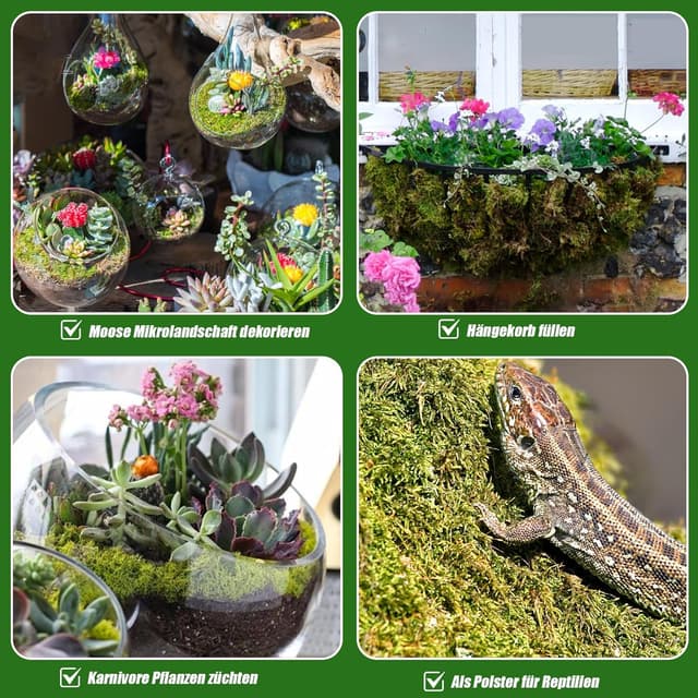 Detalle 1 de Sphagnum Moos 2er Pack für Pflanzen 10 L