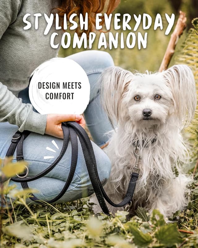 Detalle de Rudelkönig Guinzaglio addestramento 2,30 m