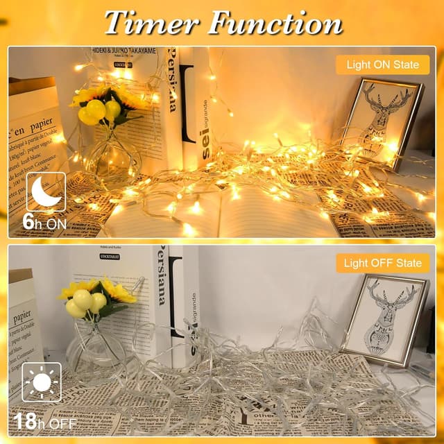 Detalle de cshare Battery Fairy Lights, 5m 50 Warm White LED with Timer (IP65)