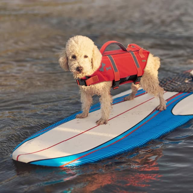 Thumbnail 6 de EMUST Adjustable Dog Swim Vest (XL, NewRed) with Rescue Handle and Reflective Strips