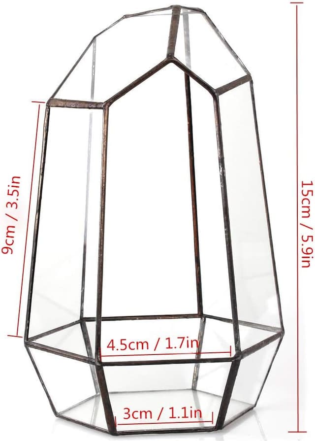 Thumbnail 4 de NCYP Geometric Opened Glass Terrarium for Succulents 10.5x9x15 cm