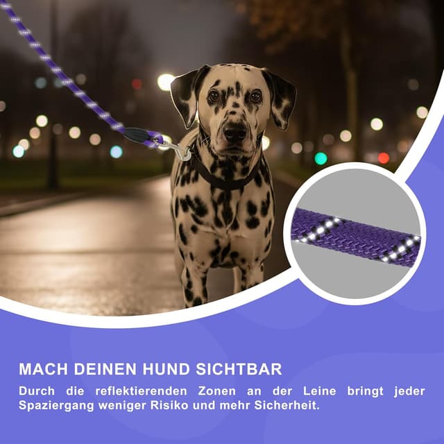 Detalle de Reichstadt Pets guinzaglio per cani in nylon morbido con impugnatura EVA riflettente e moschettone girevole (1,5 m, viola)