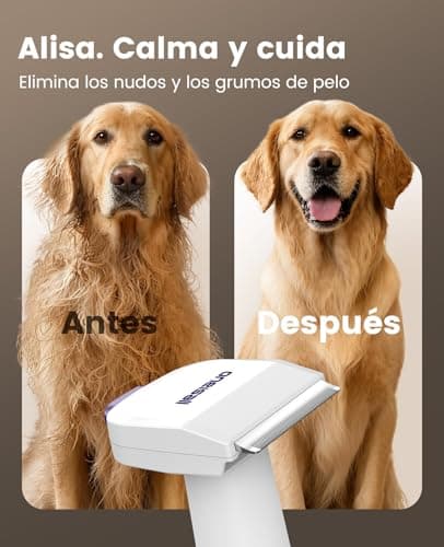 Detalle de oneisall Aspira peli Cane & Gatto doméstico con cepillo 4 en 1 y 12000Pa