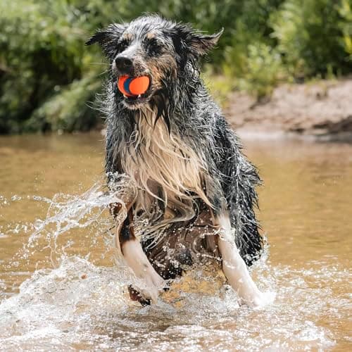 Thumbnail 2 de Chuckit Golf Ultra Ball, taille L