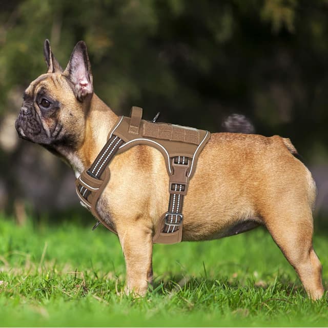 Detalle 2 de Harnais tactique Haapaw pour petit chien (taille S) anti-traction réglable avec système Molle, marron