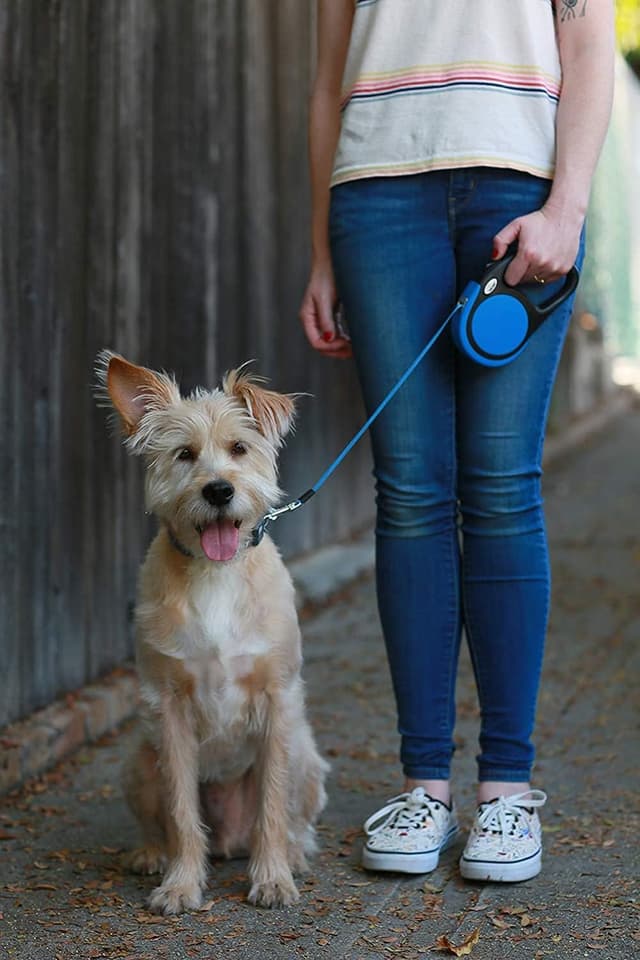 Thumbnail 6 de Taglory Retractable Dog Lead 5 m (Extendable, No-Tangle) for Small & Medium Dogs up to 20 kg, Blue