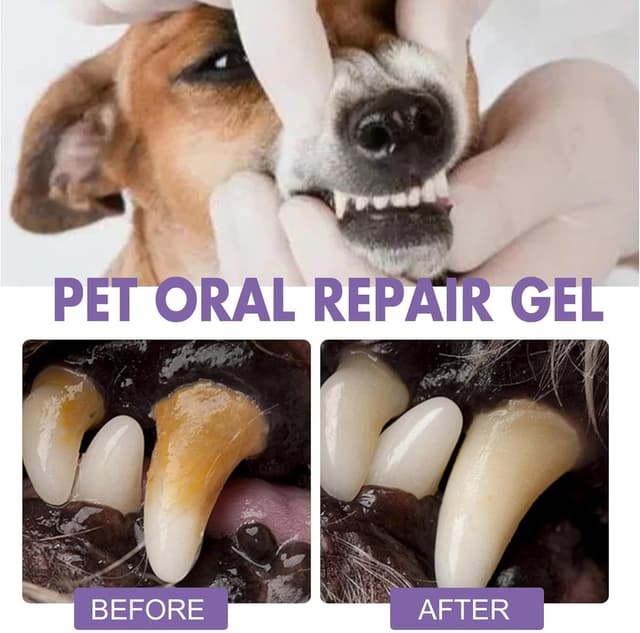 Thumbnail 3 de 4‑Piece Dog Teeth Cleaning Kit