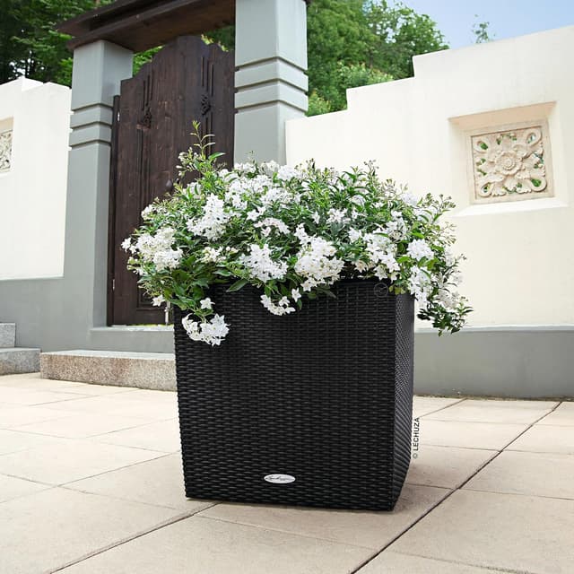 Detalle 2 de LECHUZA CUBE Cottage 50 graphitschwarz