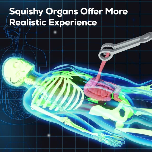 Detalle de GobiDex Human Body Skeleton Model Kit (40-Piece) — Glow-in-the-Dark Anatomy STEM Figure