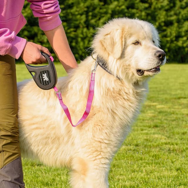 Detalle 2 de Ferplast Flippy One Reflex guinzaglio allungabile 5 m per cani