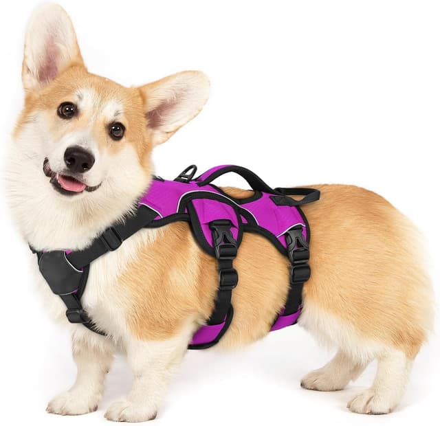 Detalle de rabbitgoo Escape-Proof Dog Harness (Small, with Handle) – Adjustable, Reflective Vest-Style, Purple (S)