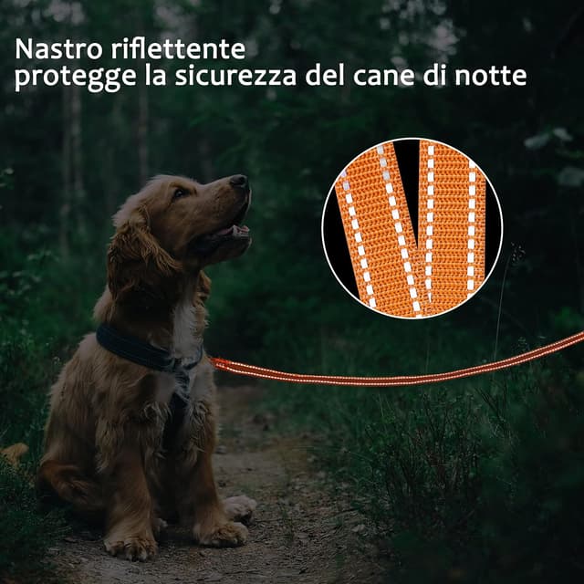 Detalle de COMSLE guinzaglio da addestramento con lunghina e gancio girevole (2 cm, lunghezze 3/5/10/15/20 m)