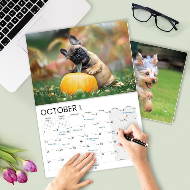 Thumbnail 5 de SUNEE Puppies Calendar 2026 A4 to A3 wall calendar 📅