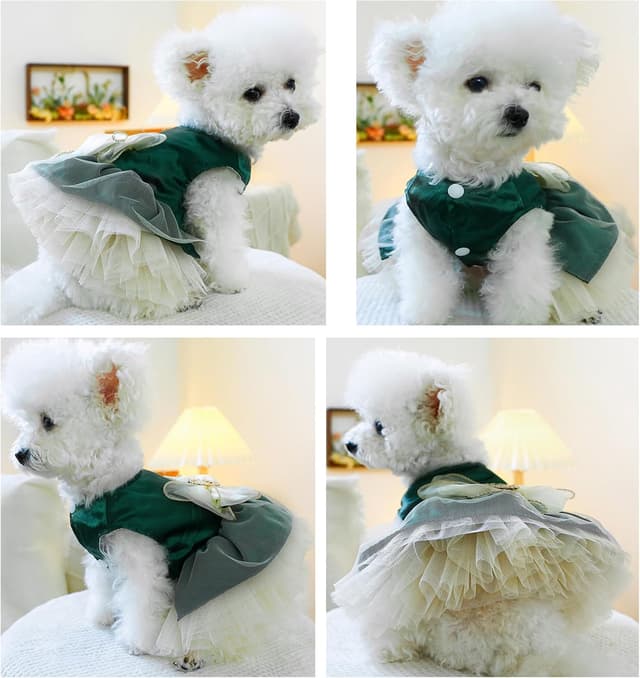 Detalle de BT Bear Small Dog Dress (Green, M) – Puppy Skirt with Retro Bow & Lace Princess Tutu