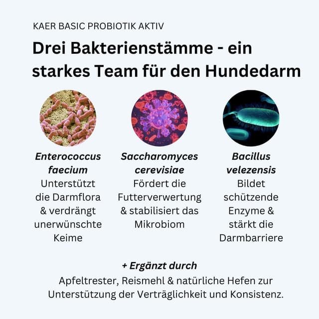 Thumbnail 2 de kaer basic Probiotik Aktiv Pulver für Hunde 3x200g