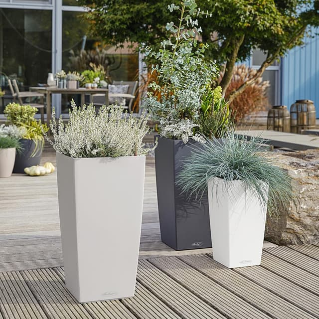 Thumbnail 6 de LECHUZA Cubico Color 30 weiß