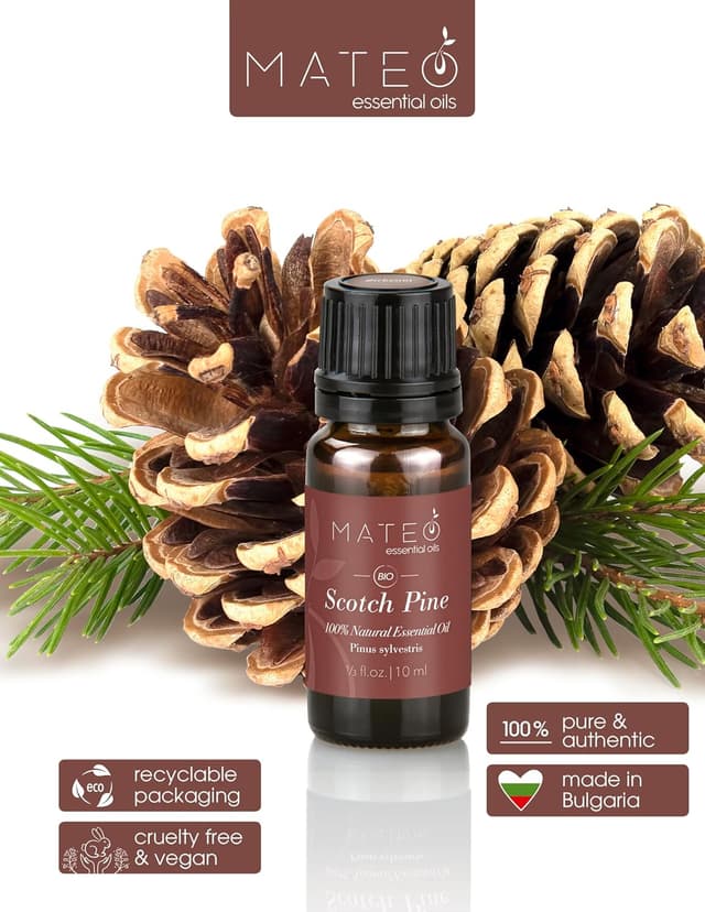 Detalle de MateoEssentialOils Olio essenziale naturale di Pino silvestre (Pinus sylvestris) – 10 ml