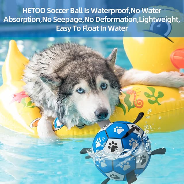 Thumbnail 5 de HETOO Interactive Dog Football 8 Inch