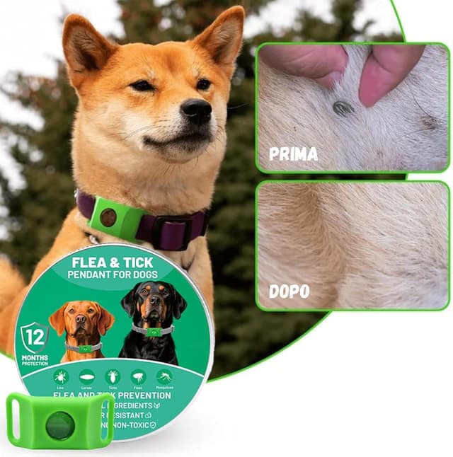 Detalle de Natürliches Floh- und Zeckenhalsband für Hunde (2er-Set) mit Repellent-Hänger – 100% natürliche Inhaltsstoffe