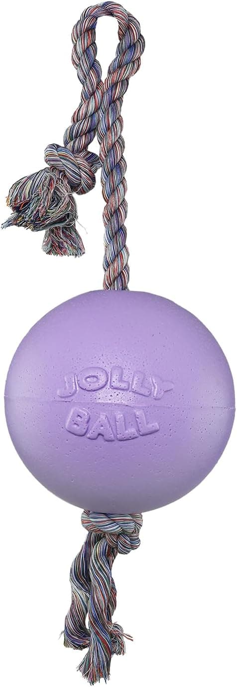 Thumbnail 5 de Jolly Pets Romp-n-Roll 15 cm Hundespielzeug