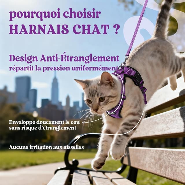 Detalle de rabbitgoo Harnais et laisse pour chat violet taille XS : harnais souple réglable anti-fugue