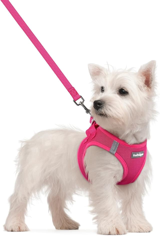 Detalle de rabbitgoo Rose Red Small Dog Harness