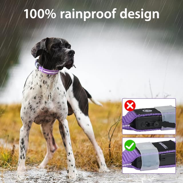Detalle de MASBRILL Light Up Dog Collar – Rechargeable LED waterproof collar with 3 flashing modes