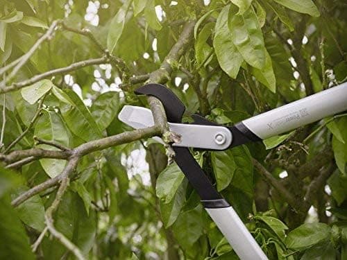 Thumbnail 8 de Fiskars LX99 Podadera PowerGear X 5,5 cm