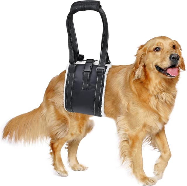 Detalle de BRO Adjustable Dog Lifting Harness (L) with Anti-slip Buckle for Rehab & Weak Rear Legs