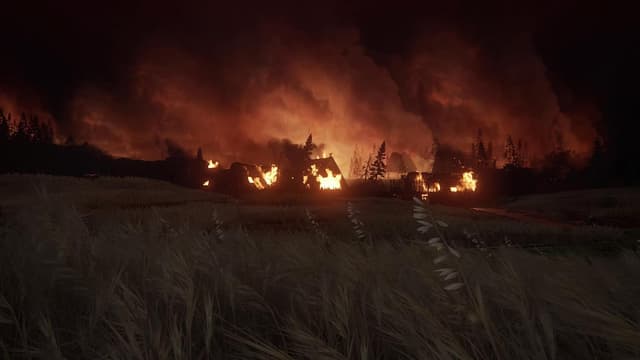 Detalle 2 de PlayStation The Last of Us Part II Remastered (PS5) : l’aventure d’Ellie et Abby en meilleure définition