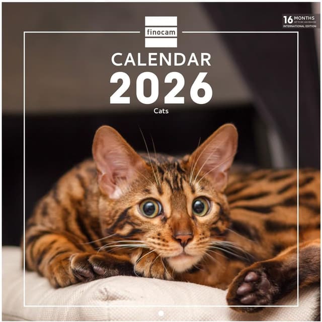 Thumbnail 5 de Finocam Wall Calendar 2026 18x18 cm Month to View