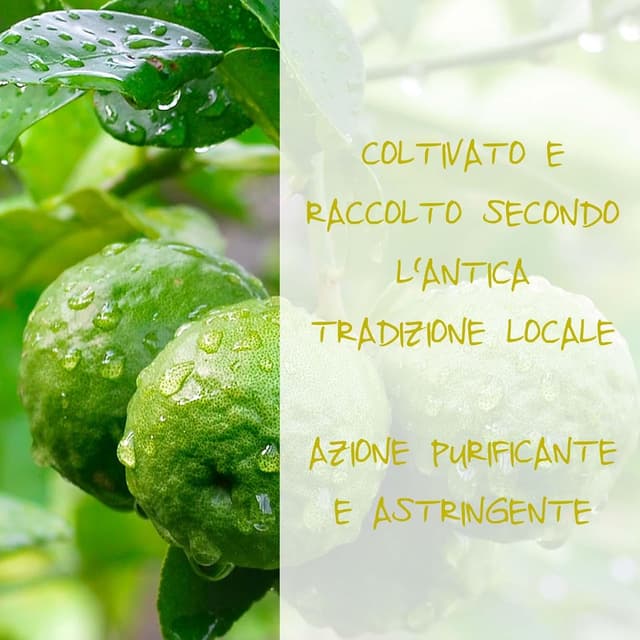 Thumbnail 3 de Omia Detergente Viso anti-sebo 200 ml