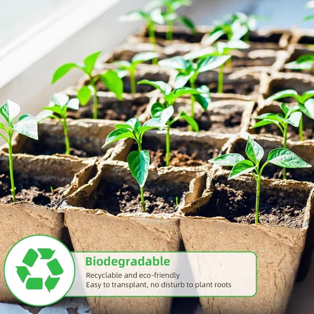 Detalle de Chovbe 240 biodegradable plant pots & seed trays kit with labels