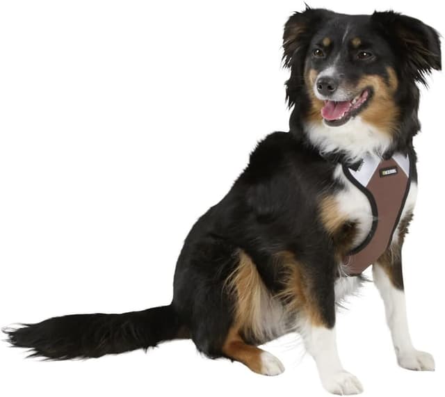 Detalle de Kerbl Pet Hundegeschirr Pulsive (braun) – stufenlos verstellbar, reflektierende Flächen