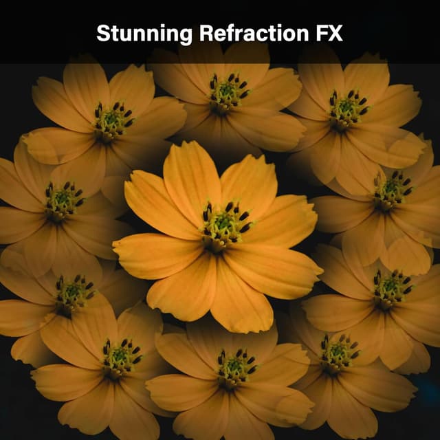 Detalle 2 de Walking Way kaleidoscope filter 82mm