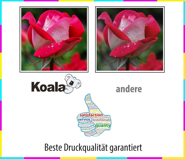 Detalle 2 de Koala Cartuccia inchiostro Brother LC985XL