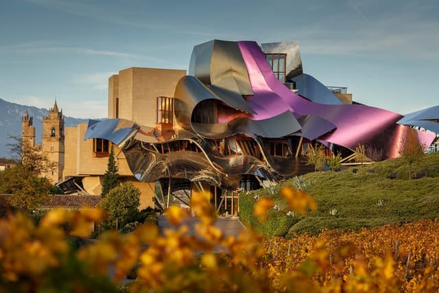 Thumbnail 5 de Marqués de Riscal Verdejo Organic 🍷 Caja 6 botellas 750 ml