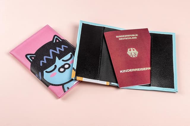 Detalle de Walther Design Lederetui für Reisepass in Blau – passt für EU-Pass (bis 12,5 x 9,1 cm), 582000077