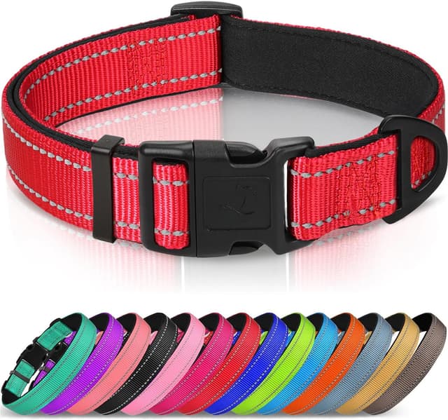 Imagen de Joytale Reflective Dog Collar S, 11-15 in en OfertitasTOP