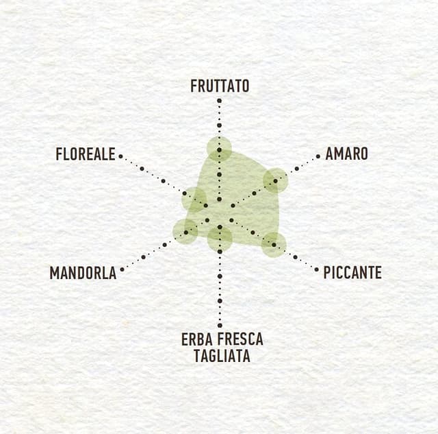 Thumbnail 1 de Costa d’Oro L’Extra 3 L olio extravergine 🫒